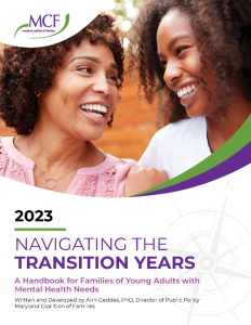 Transition Handbook Cover - small Transition Handbook Cover - small