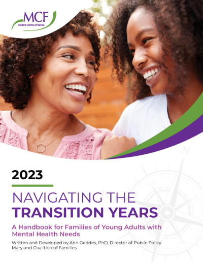 Transition Handbook Cover - small